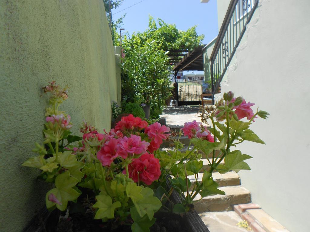 Irmak Family Pension & Apartments เอเจลบัท ห้อง รูปภาพ