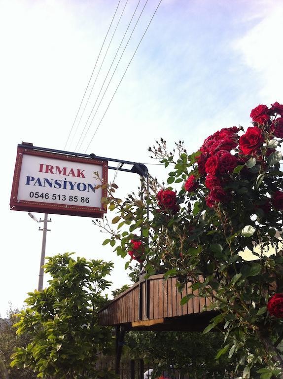 Irmak Family Pension & Apartments เอเจลบัท ภายนอก รูปภาพ